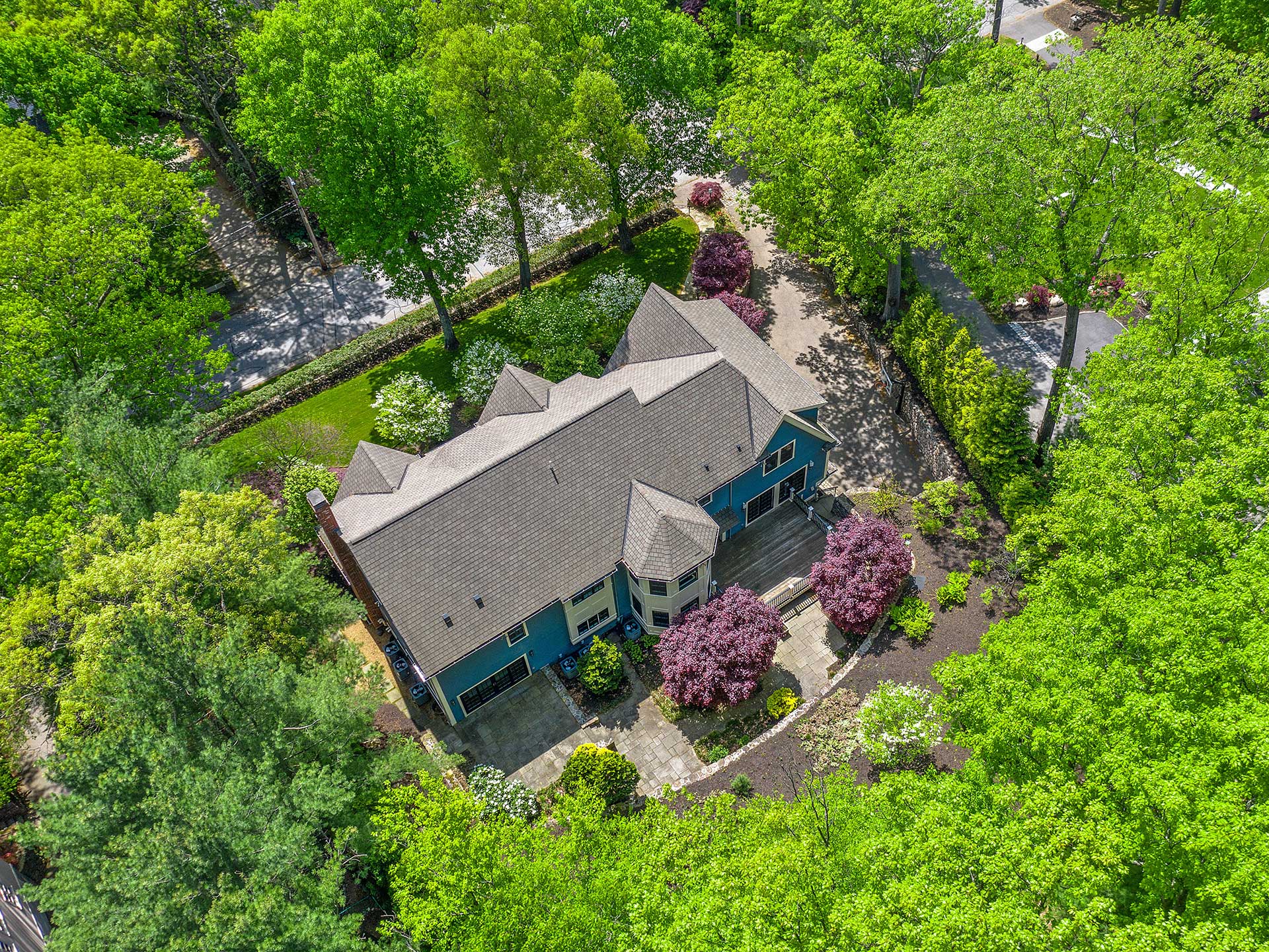 High View