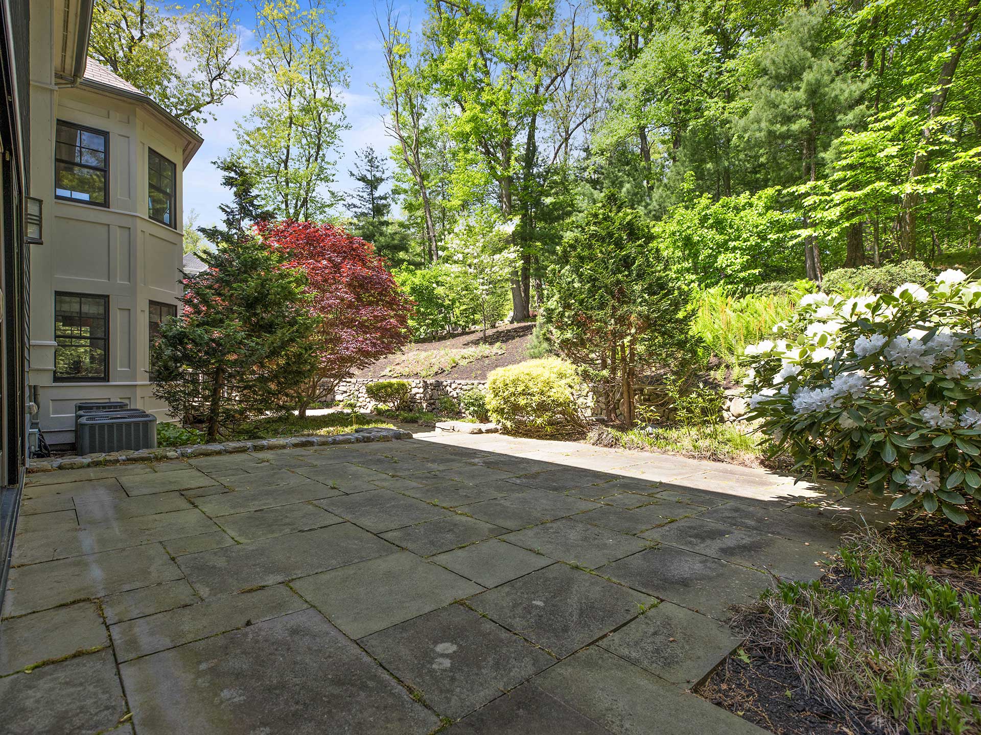 Backyard patio