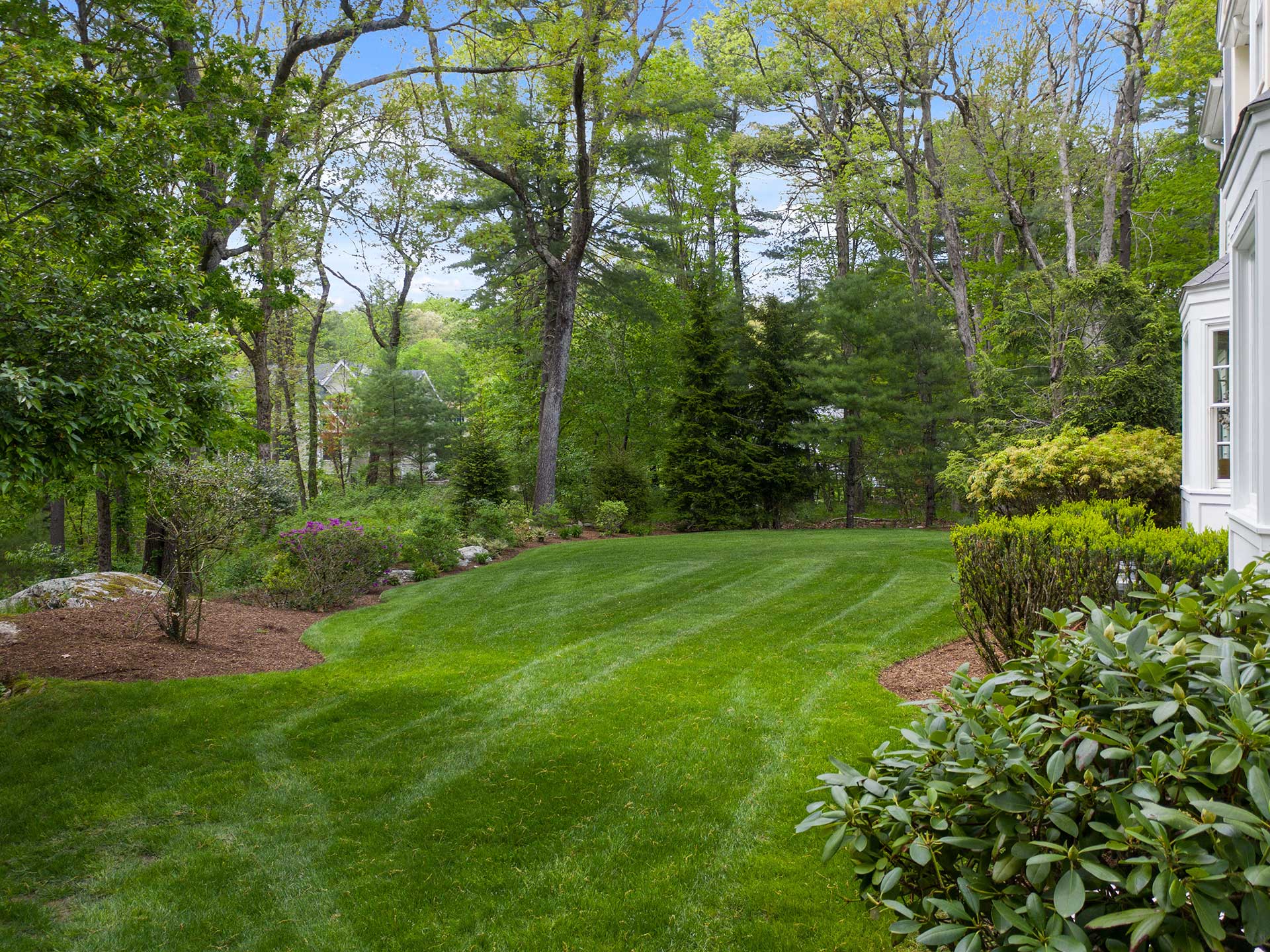 Farley Pond backyard