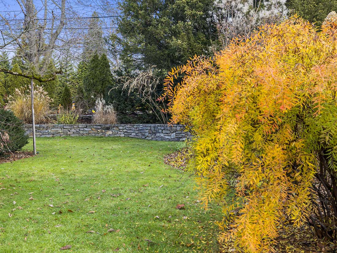 yard, 37 Pickwick Way, Wellesley, home